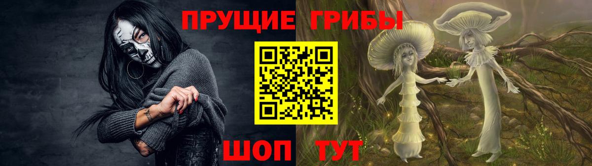 Псилоцибиновые грибы Psilocybe  Вход с VPN  Артём 